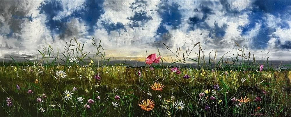 Peace Beneath the Clouds by Kimberley Harris - EB London