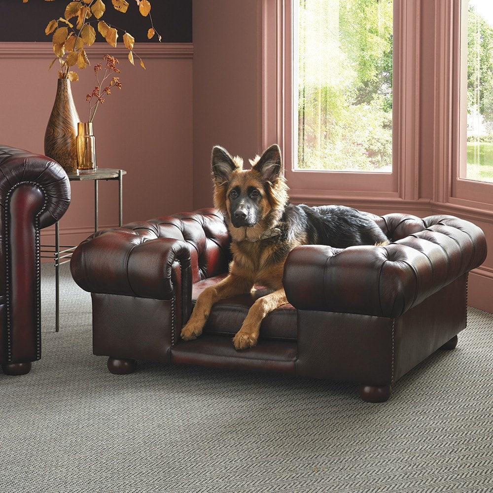 Sofa by Saxon - Lincoln Medium Dog Bed - Hand-Burnished Leather - EB London