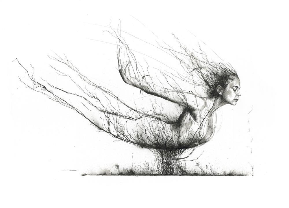 Scott Tetlow | Fly | Original British Art - EB London