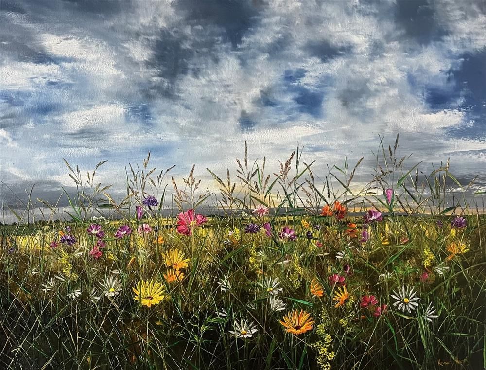 The Colour Of Peace by Kimberley Harris - EB London