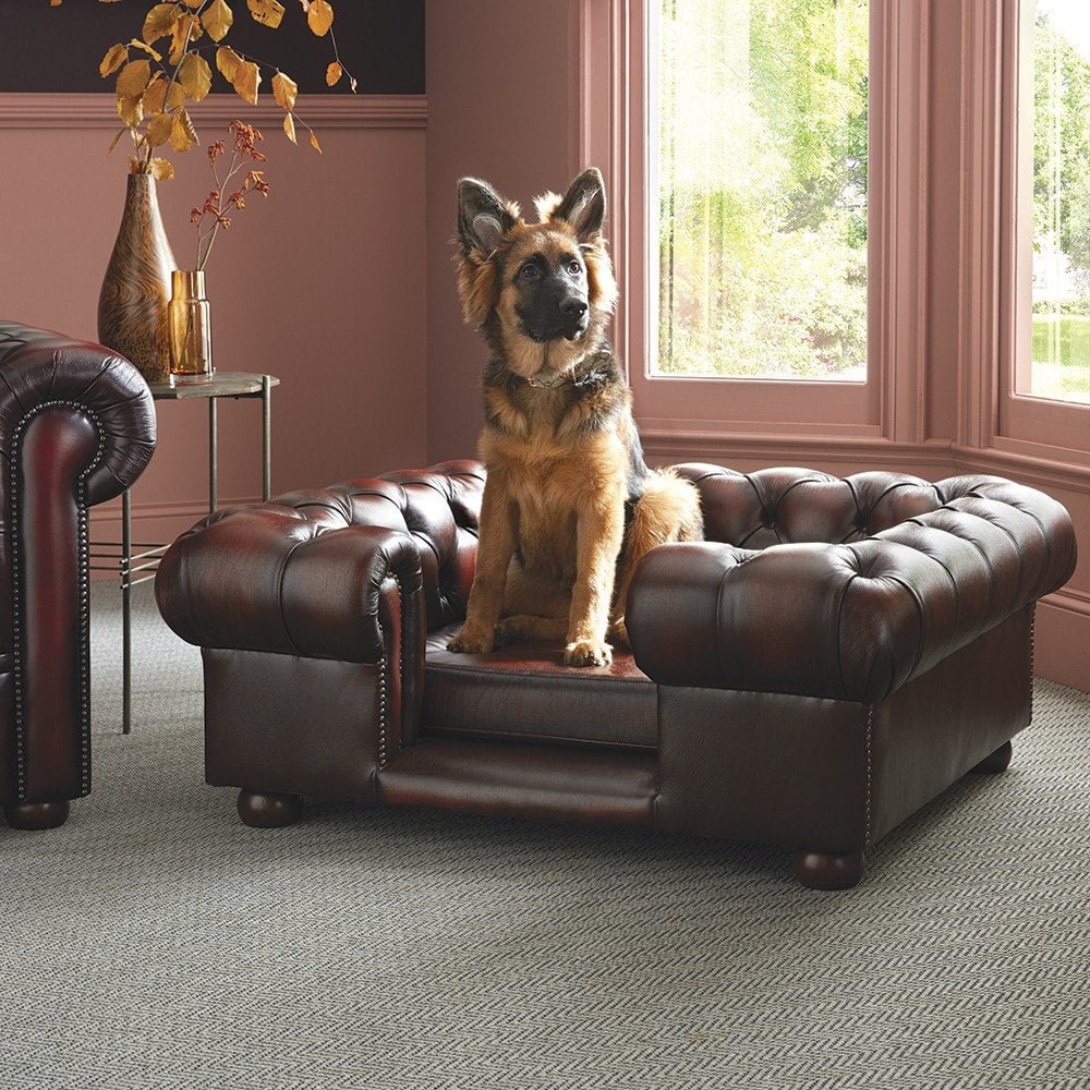 The Saxon Premium Lincoln Large Dog Bed | Handcrafted British Upholstered Pet Bed - EB London