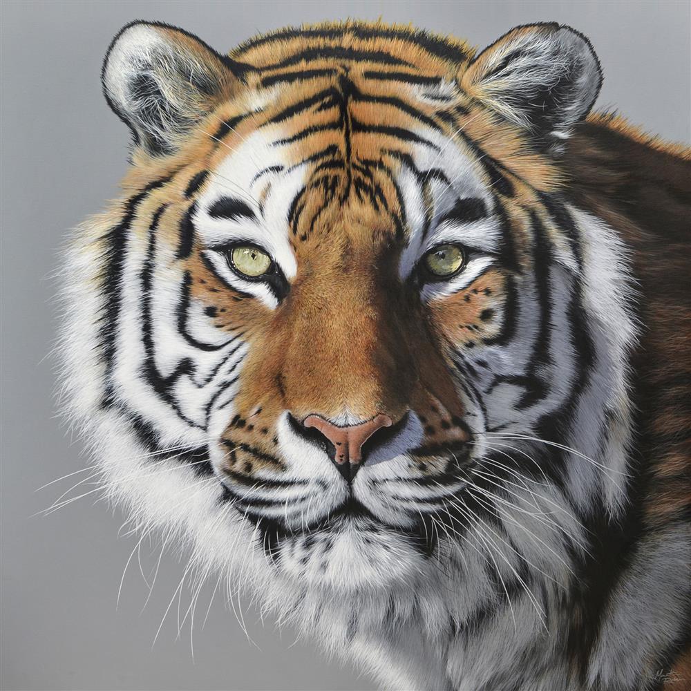 Martin Robson - Amur Tiger - Original British Art - EB London