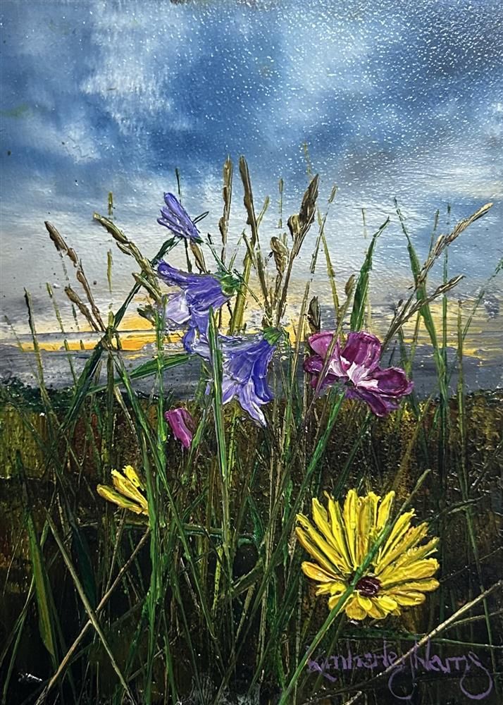 In the Wake of Colour by Kimberley Harris - EB London