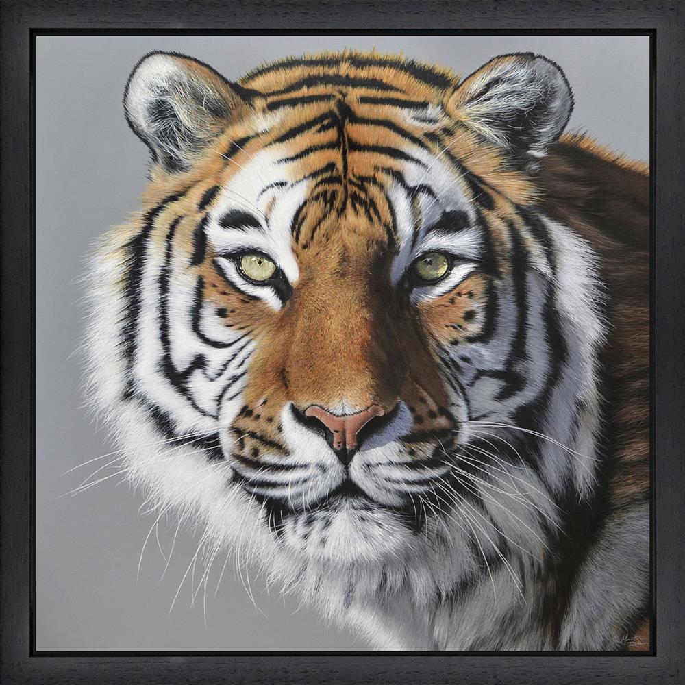 Martin Robson | Amur Tiger | Original British Art - EB London