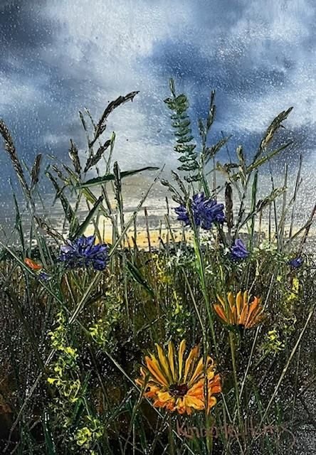 Path In Time by Kimberley Harris - EB London