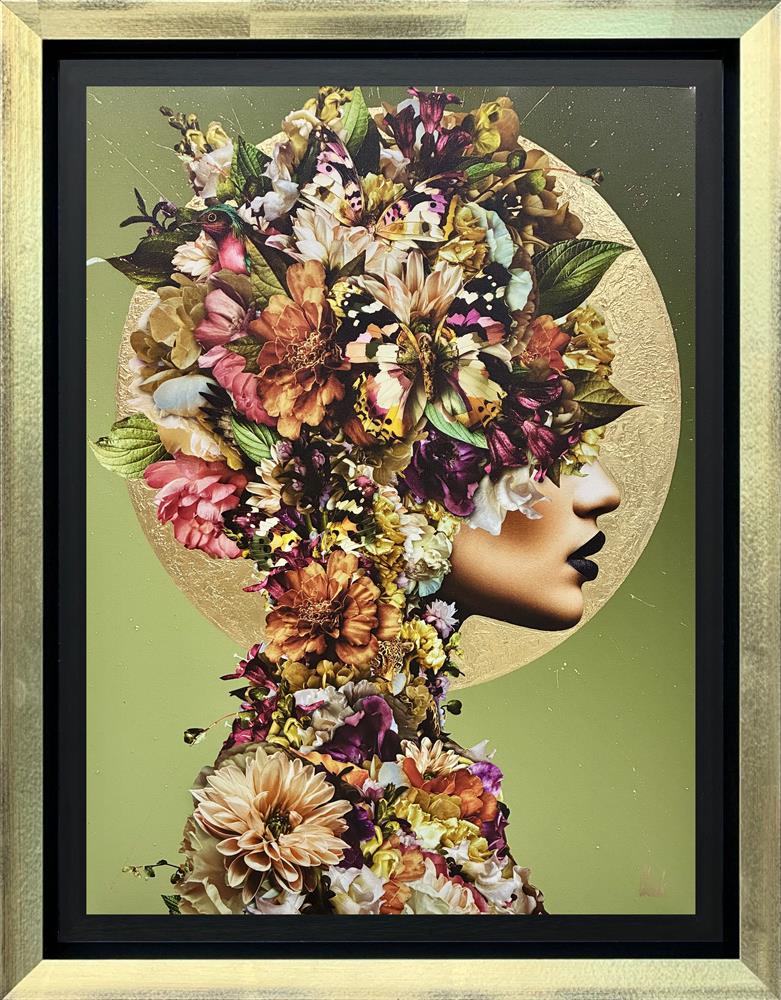 Seranova by Chuck - EB London