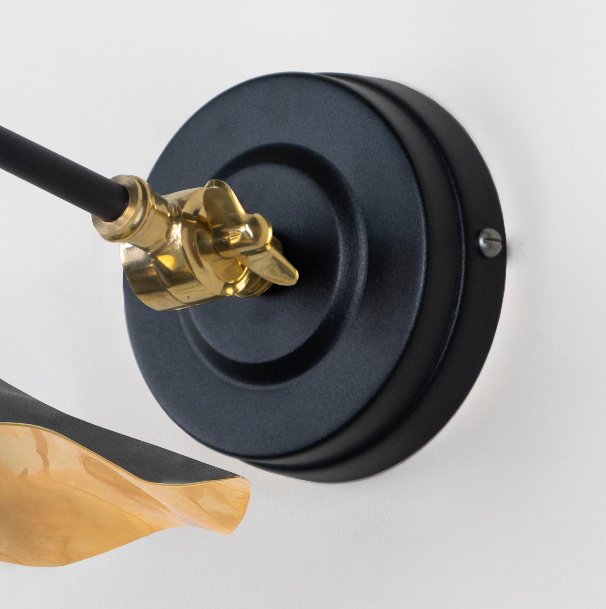 Smooth Brass Flora Wall Light | Elan Black - From The Anvil - EB London