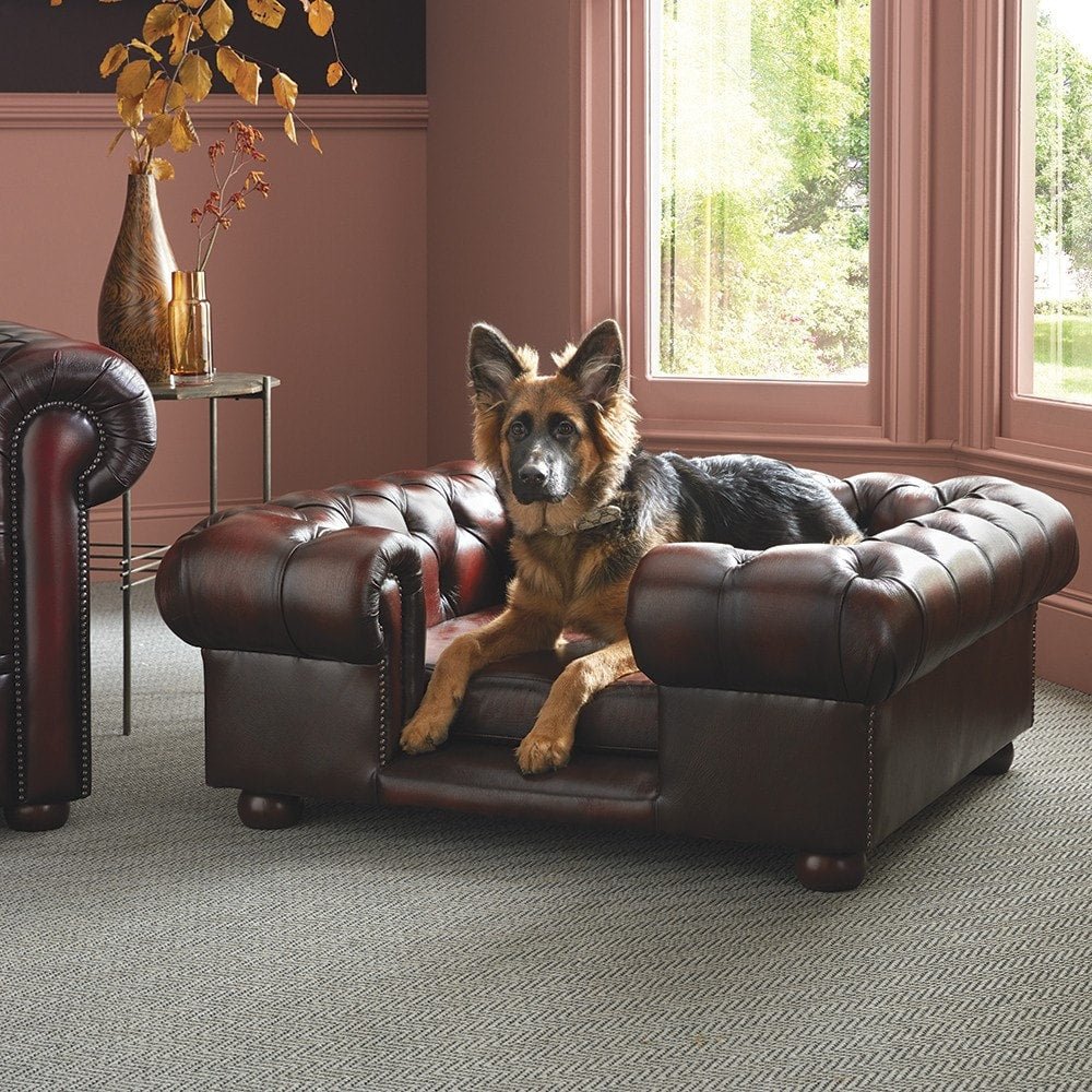 The Saxon Premium Lincoln Large Dog Bed | Handcrafted British Upholstered Pet Bed - EB London